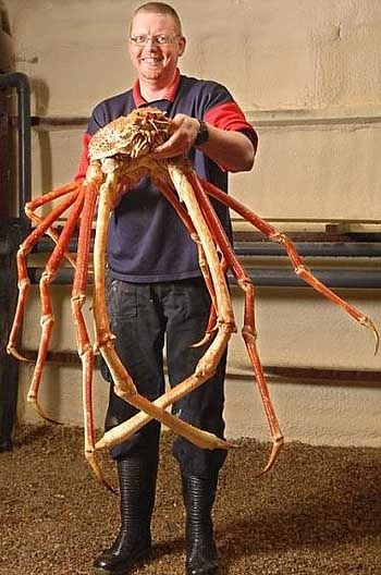 a man holding up a giant crab in his hands