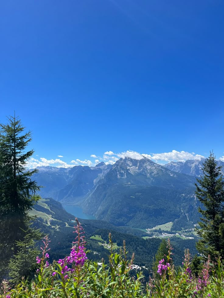 the view from the top of a mountain with flowers in foreground and mountains in the background