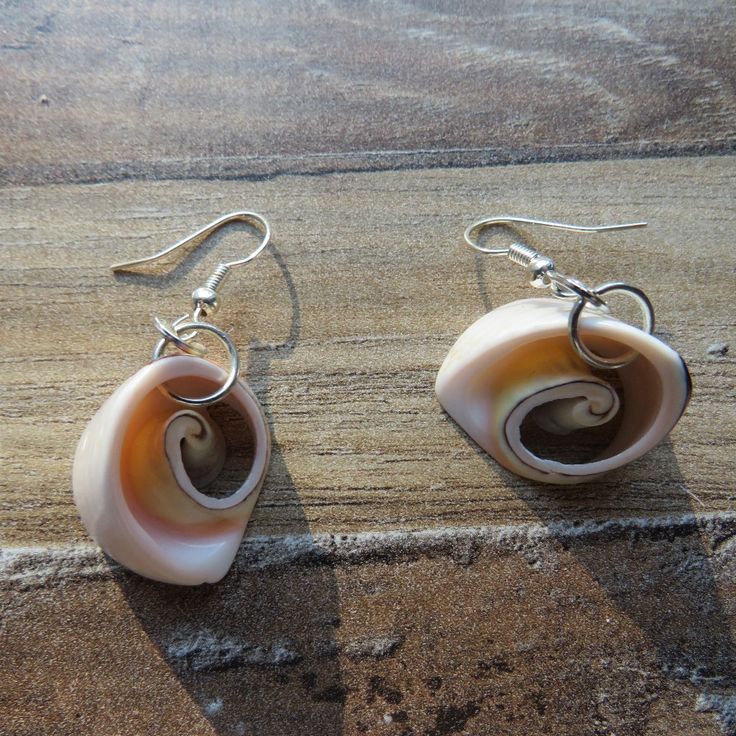 Nwot, Cute Little Sea Shell Earrings. Statement Earrings. Elegant Nickel-free Beach Earrings, Elegant Nickel-free Earrings For The Beach, Nickel-free White Drop Earrings, Nickel Free White Drop Earrings, Elegant Hypoallergenic Earrings For Beach, Nickel Free Adjustable Shell-shaped Earrings, Nickel-free Adjustable Shell-shaped Earrings, Nickel-free Adjustable White Earrings, Adjustable Nickel-free White Earrings