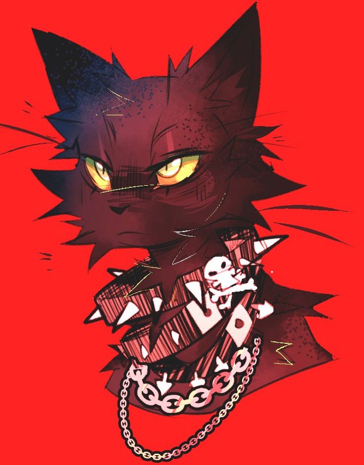 a black cat with yellow eyes and chain around its neck, on a red background