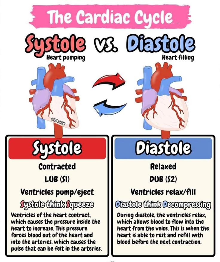 the cardiac cycle and systole vs diastole heart pumps diagram