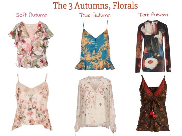 Autumn Progressions, Florals - 12 Blueprints Copper Autumn, 12 Blueprints, Deep Autumn, Dark Autumn, Soft Autumn, Color Harmony, Color Analysis, Of Outfits, The Script