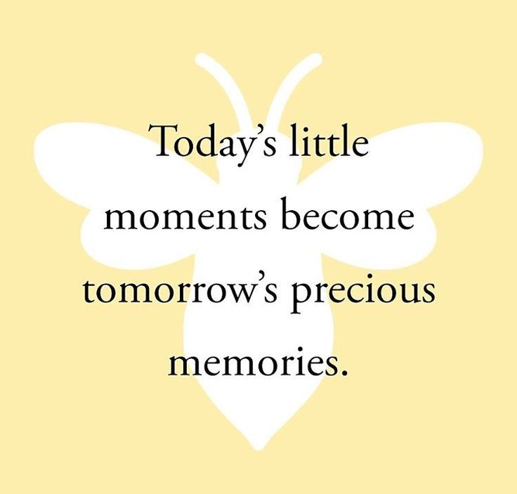 a bee with the words today's little moments become tomorrow's precious memories