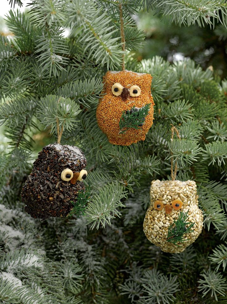 three owl ornaments hanging from a pine tree