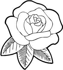 a black and white drawing of a rose