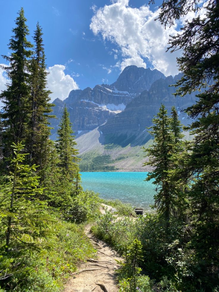 a trail leading to a lake surrounded by trees and snow capped mountains in the distance