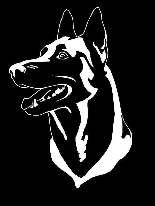 a black and white dog is shown on a black background, with the head of a german shepherd