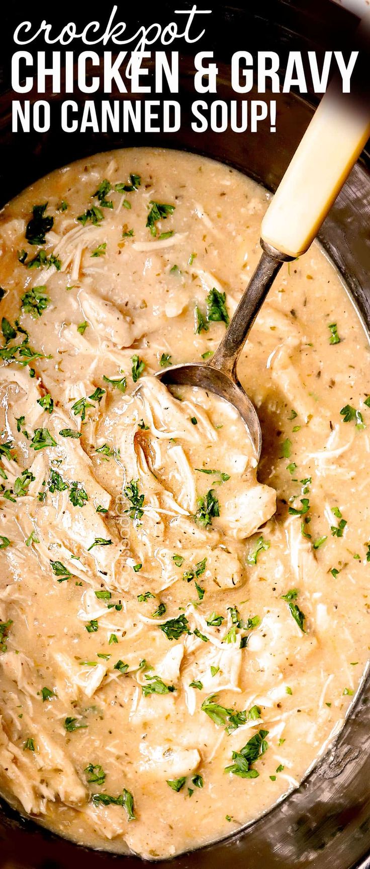 chicken and gravy soup in a pot with a ladle on the side