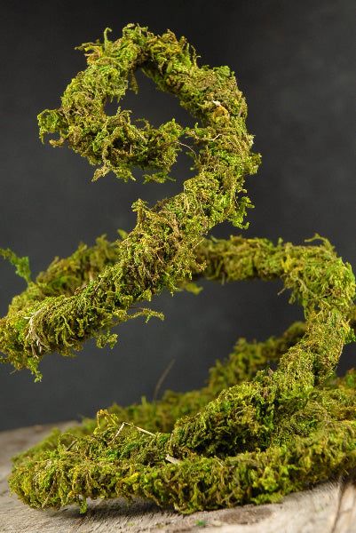 Preserved Moss Vine 6ft Voodoo Wedding, Enchanted Forest Bedroom, Enchanted Forest Prom, Wire Vine, Enchanted Forest Decorations, Lodge Christmas, Bouquet Succulent, Moss Grass, Enchanted Forest Party