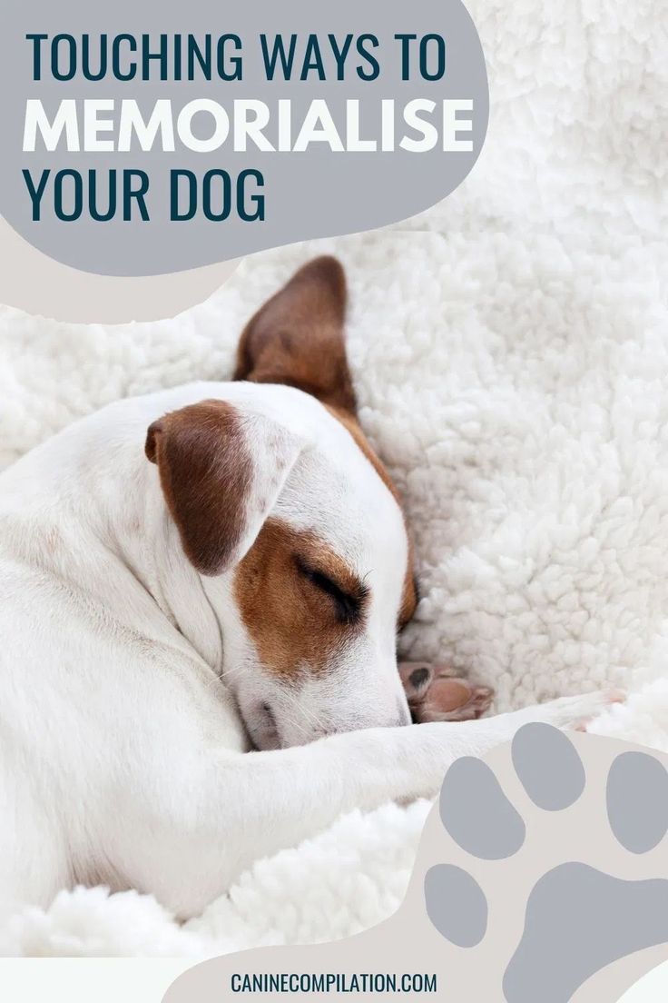 a dog sleeping on top of a white blanket with the words touching ways to memorialise your dog