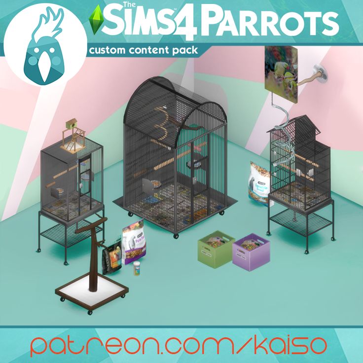 an advertisement for the sims4 parrots custom content pack is shown in this image