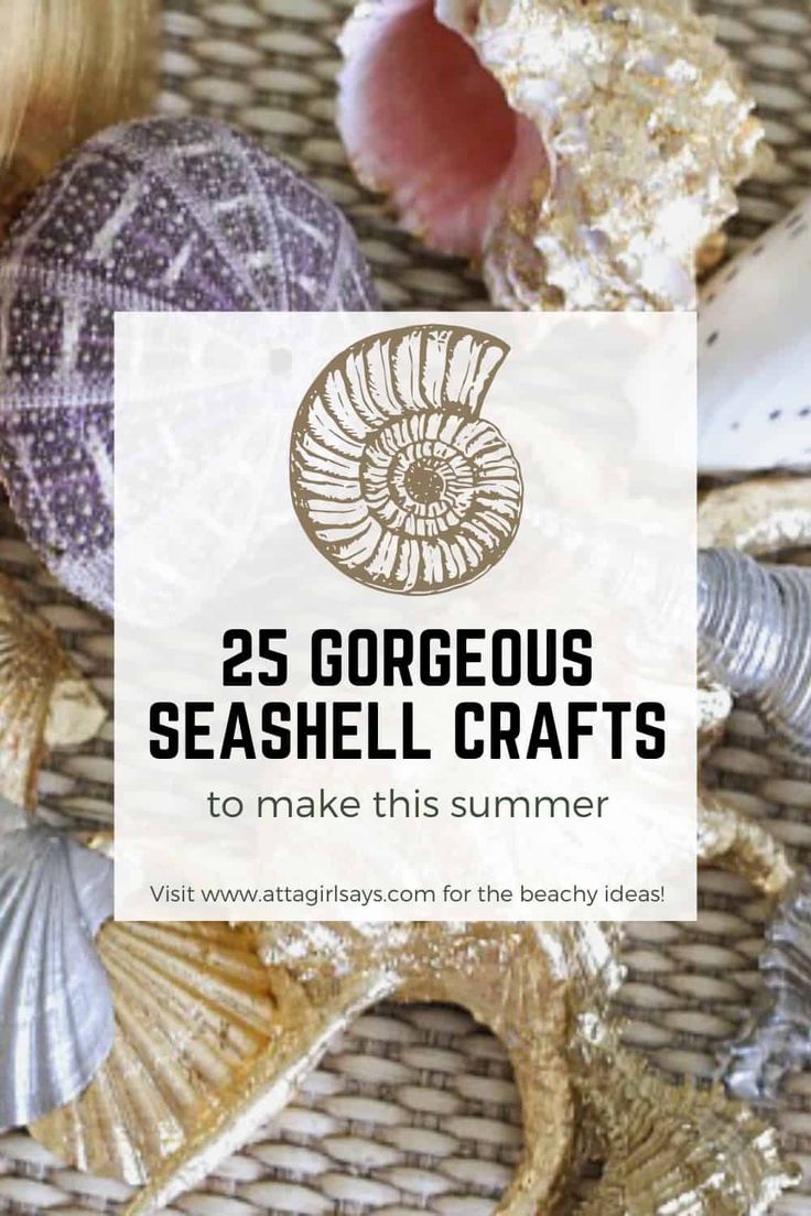 seashell crafts with the title 25 gorgeous seashell crafts to make this summer