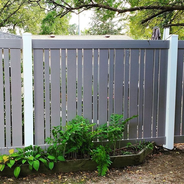 a small garden in front of a gray fence with green plants growing on the side