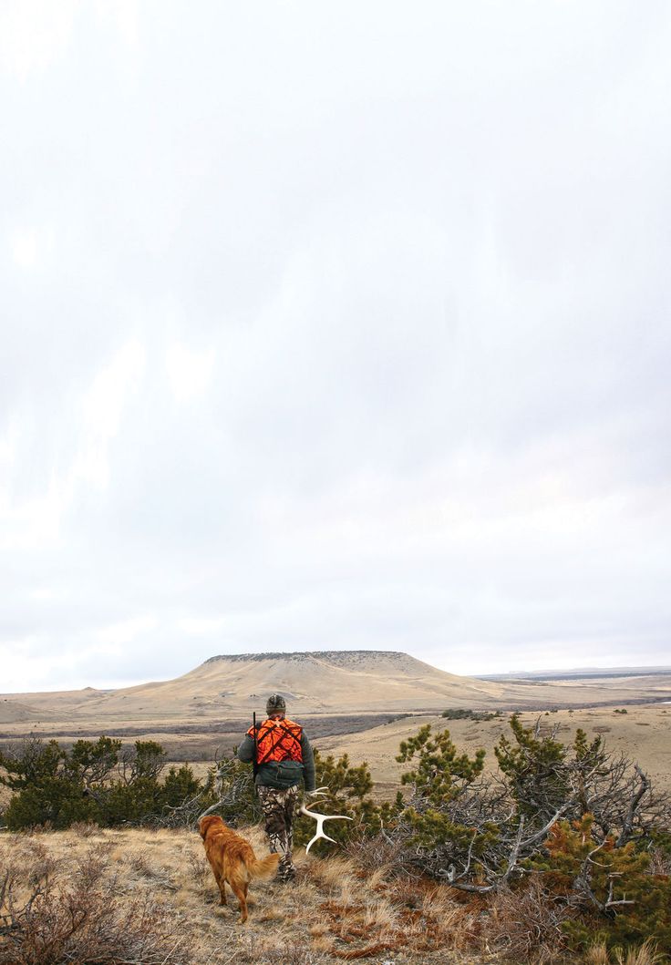 a man hiking with his dog in the wilderness