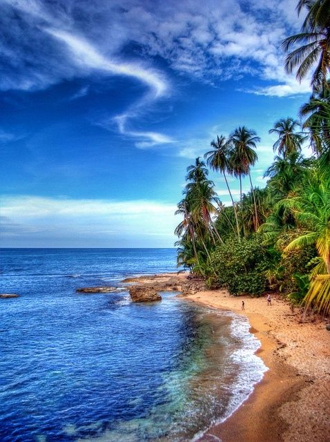 the beach is lined with palm trees and blue water