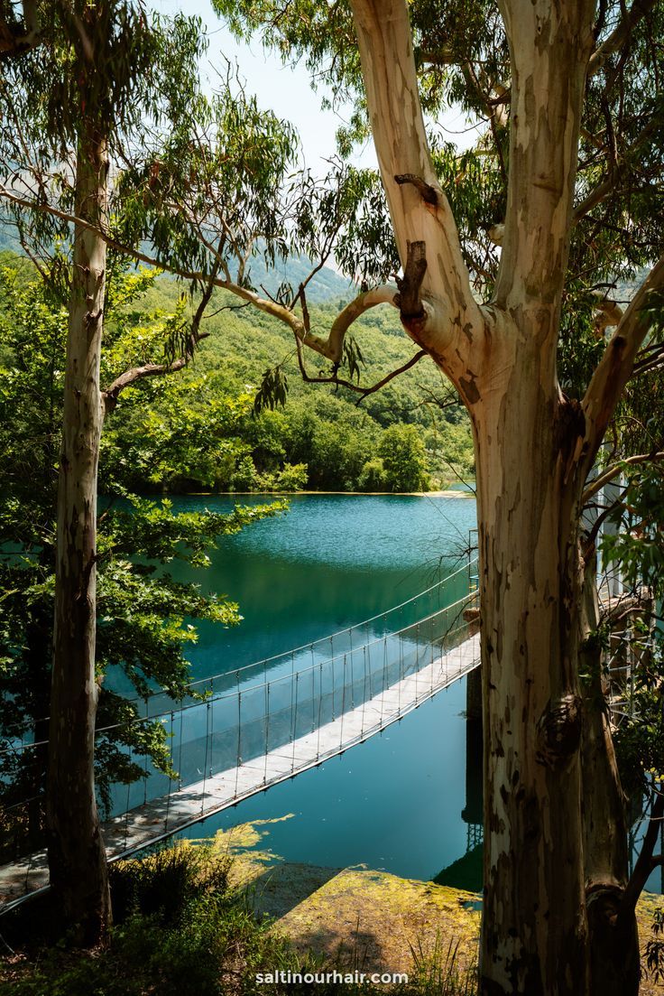 a suspension bridge over a lake surrounded by trees