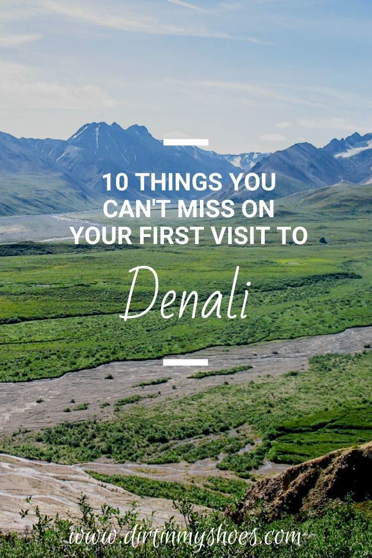 a valley with mountains in the background and text overlay that reads 10 things you can't miss on your first visit to denali