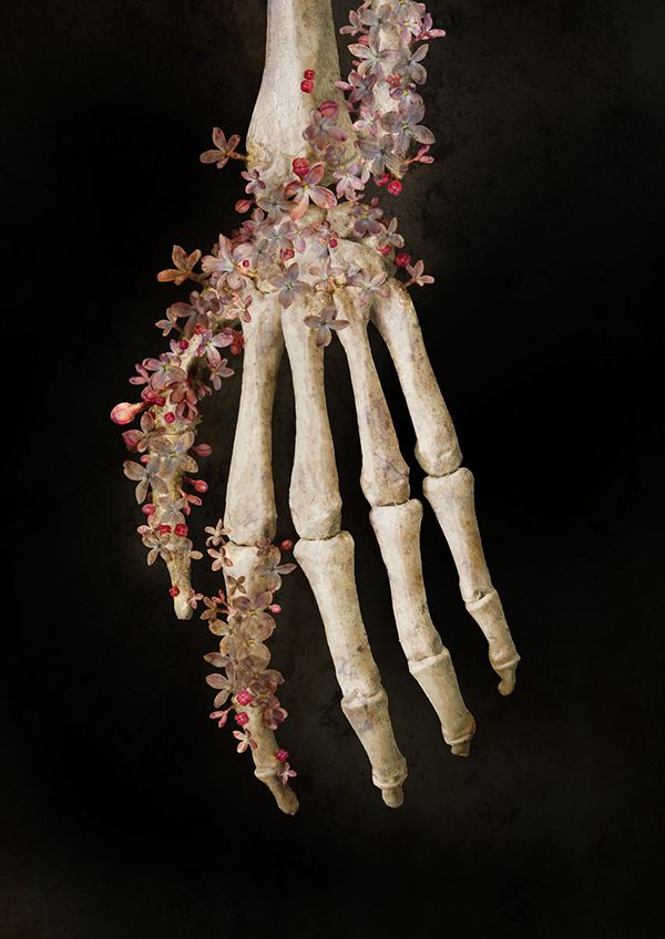 a skeleton with flowers on it's back and arms hanging from the ceiling, in front of a black background