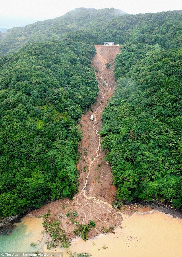 an aerial view of a river in the middle of a forest