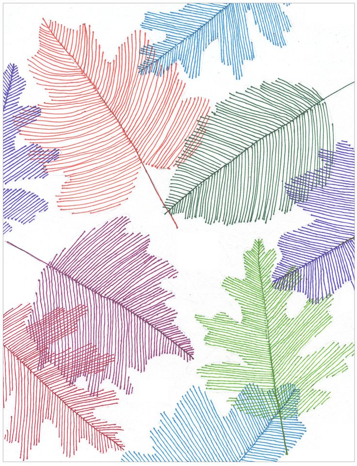 colored leaves are shown on a white paper with blue, green and red lines in the middle