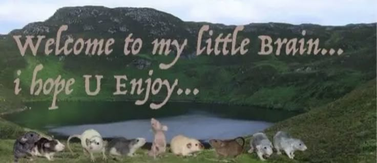 a group of dogs standing in front of a lake with the words welcome to my little brain i hope u enjoy