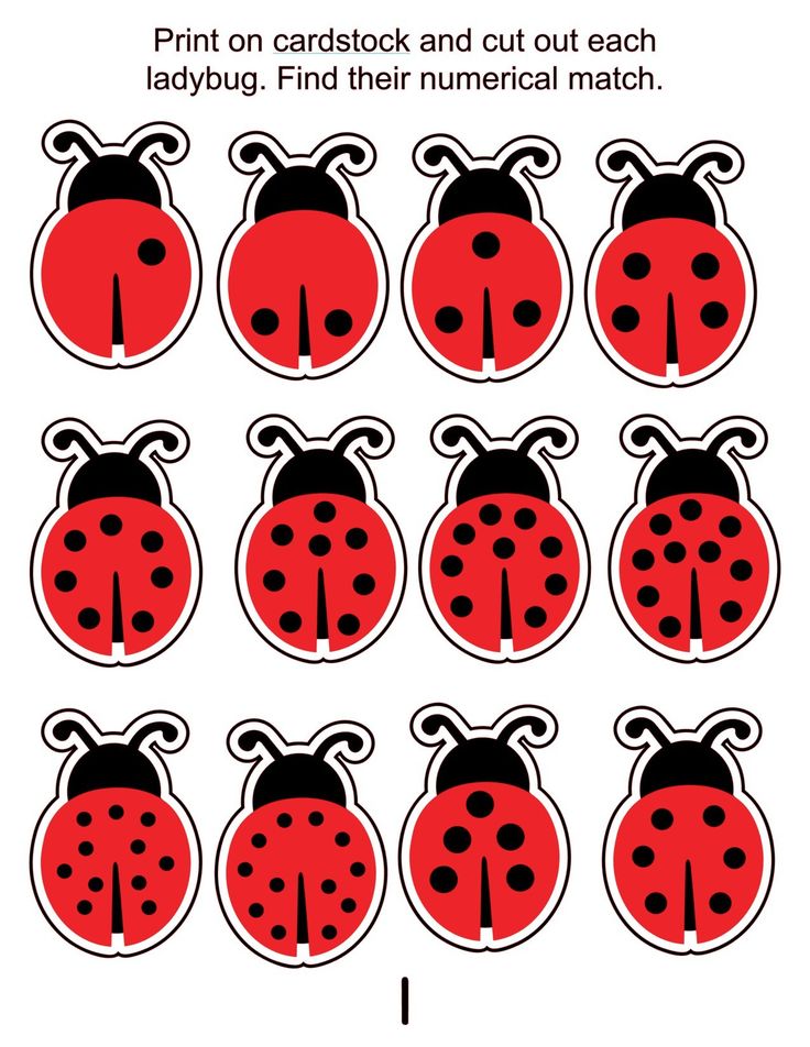 ladybug counting game for kids to learn how to count the numbers in each row