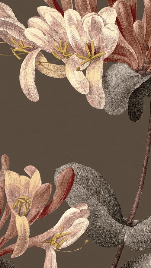 an image of flowers on a brown background