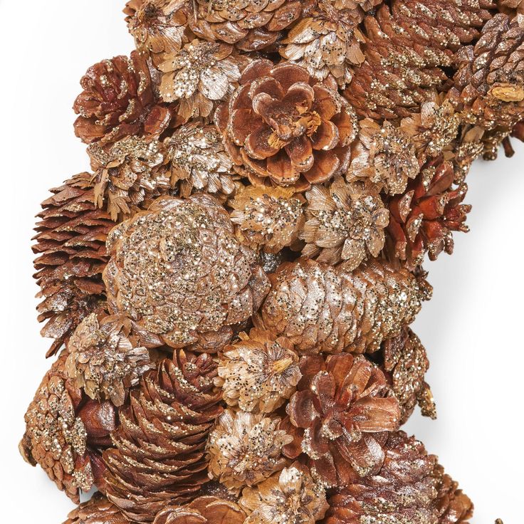 a bunch of pine cones sitting on top of each other