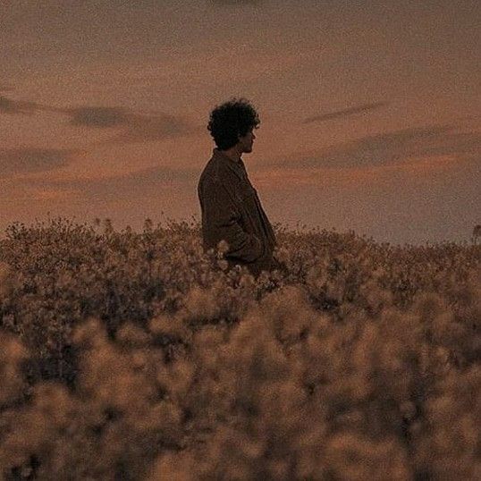 a man is standing in a field at sunset