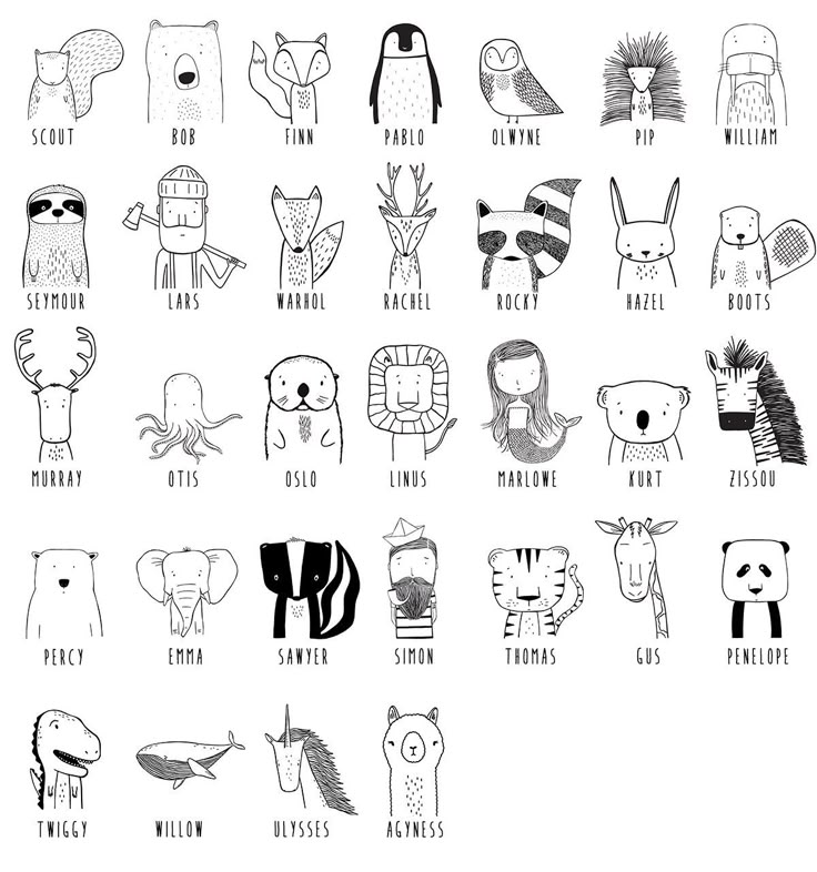 an illustrated poster with different types of animals and their names in black ink on white paper