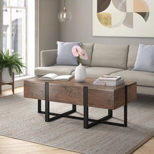 a living room with a couch, coffee table and potted plant