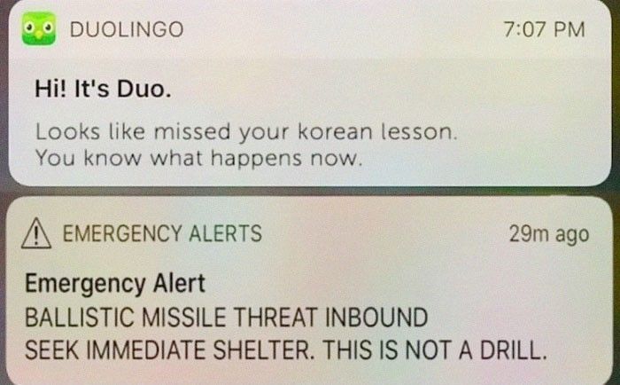 two texts that are on the back of a cell phone, one says hi it's duo and the other says emergency alert