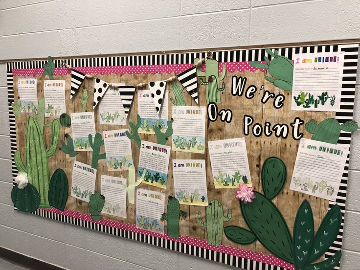 a bulletin board is decorated with cactus images and writing about the plant life on it