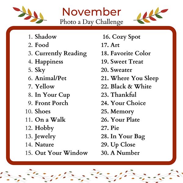 the november photo day challenge is shown in red and white with an orange border around it