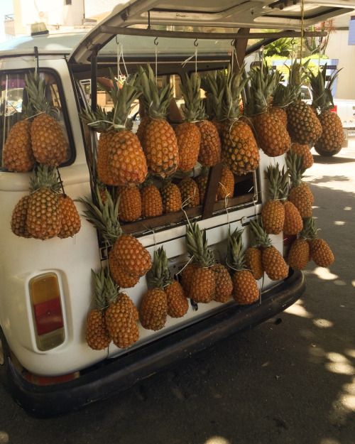 pineapples are hanging from the roof of a van