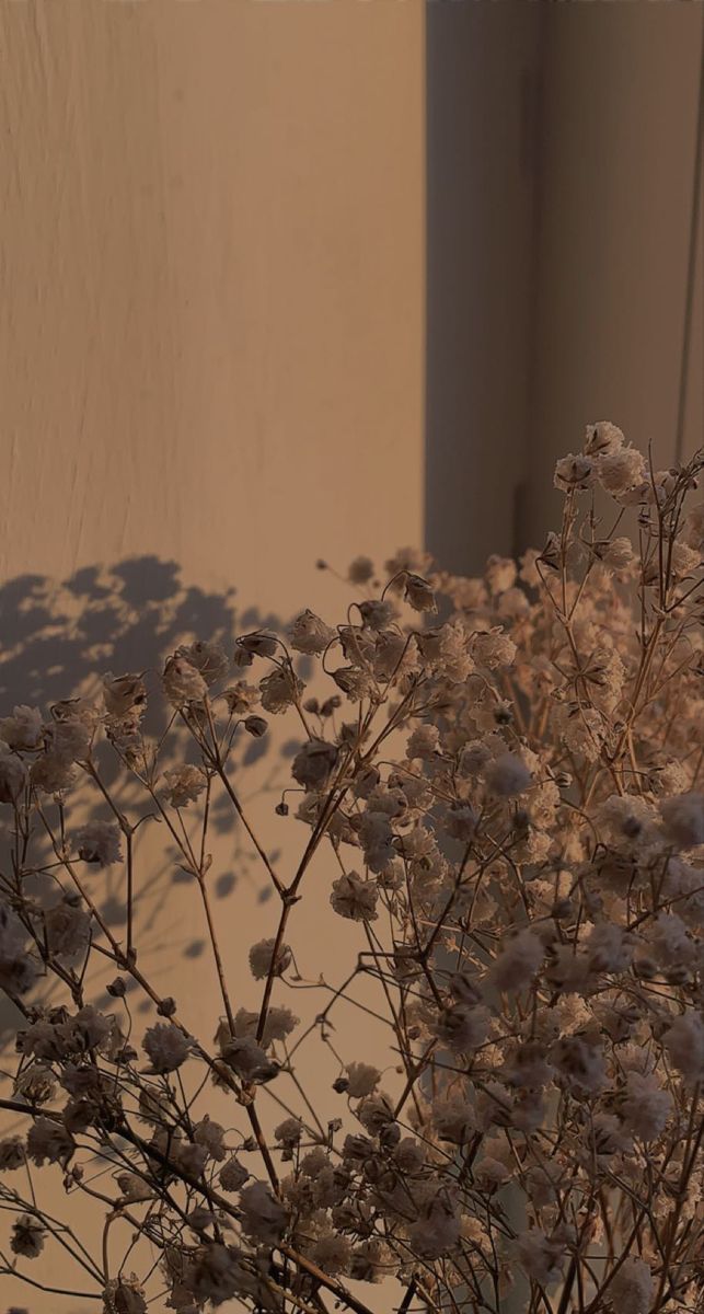 a vase filled with lots of white flowers