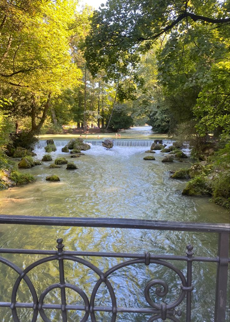 a river flowing through a lush green forest filled with lots of trees next to a metal fence