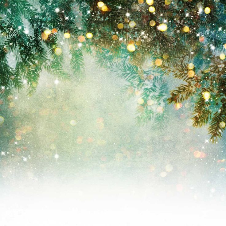 Katebackdrop鎷㈡綖Kate Fantasy Christmas Pine tree branch winter Bokeh Backdrops for Photography Christmas Bokeh, Christmas Backdrops For Photography, Christmas Photography Backdrops, Winter Backdrops, Bokeh Photography, Seamless Backdrop, Muslin Backdrops, Bokeh Lights, Christmas Backdrops