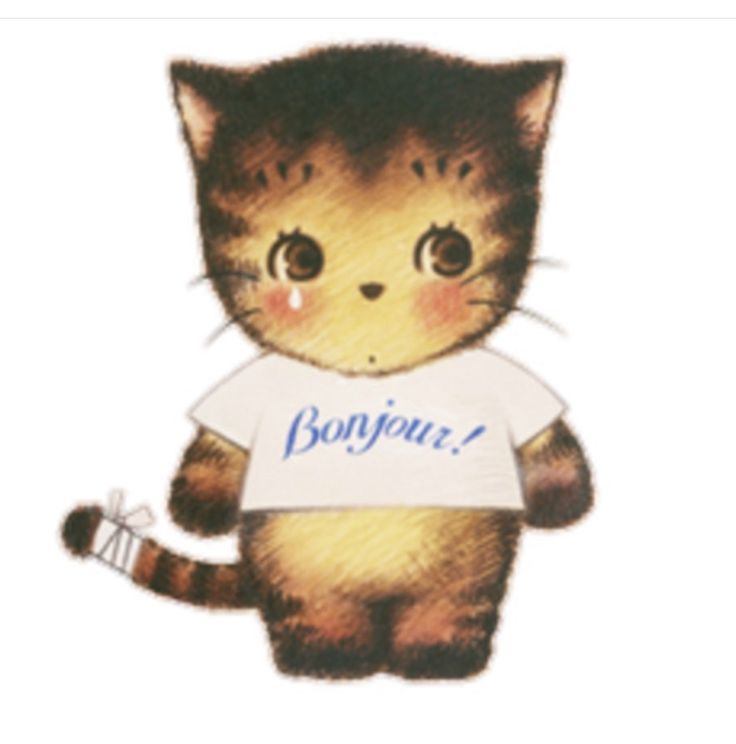 a drawing of a cat wearing a t - shirt that says bonjura on it