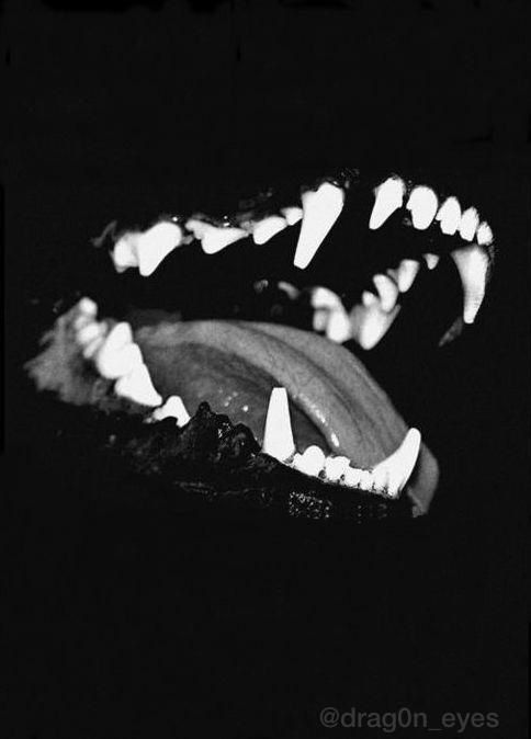 an animal's teeth are shown in black and white