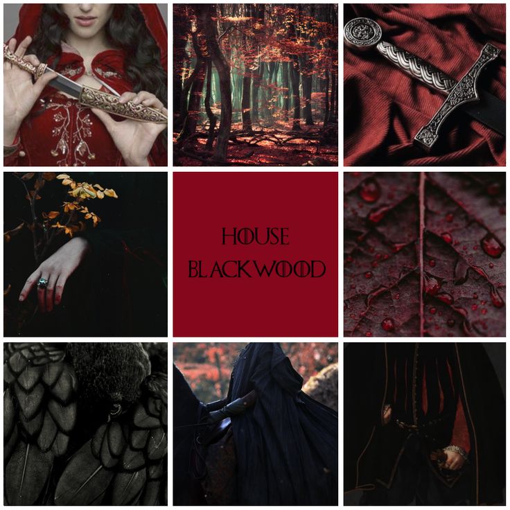 a collage of photos with the words house of blackwood written in red on them