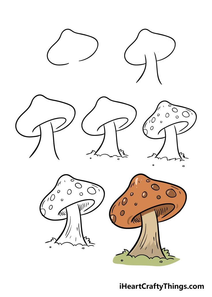 three different types of mushrooms are shown in this coloring page for the children's book