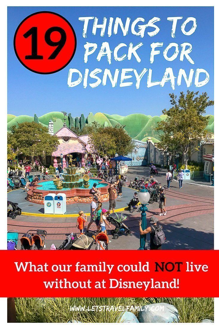 the disneyland theme park with text that reads 19 things to pack for disneyland what our family could not live without at disneyland