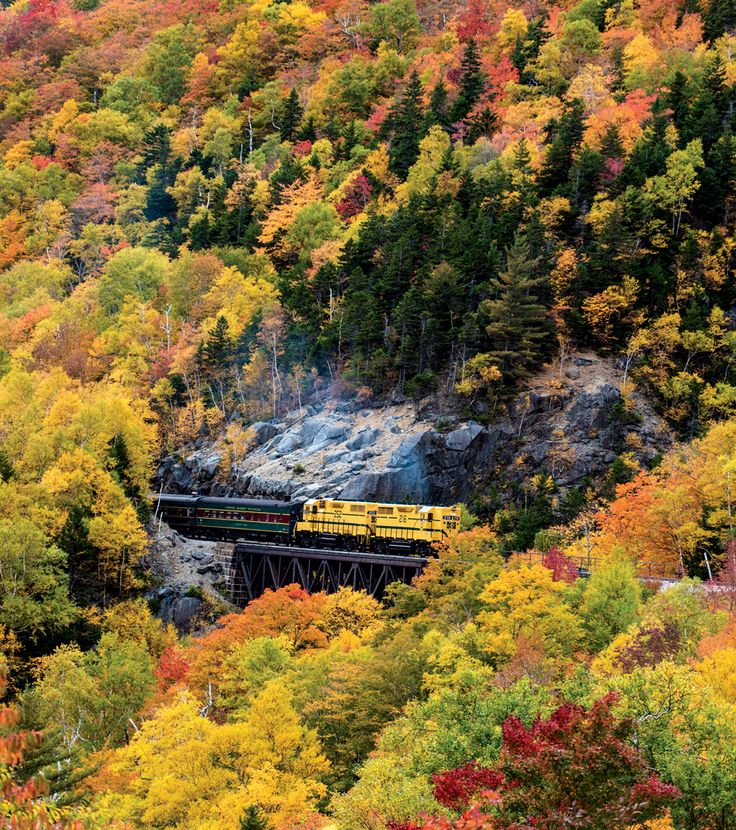 a train traveling over a bridge surrounded by trees in the fall season with colorful foliage