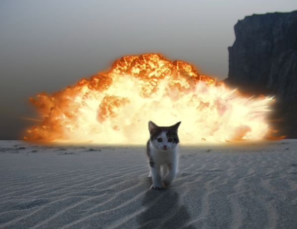 a cat is walking in front of an explosion