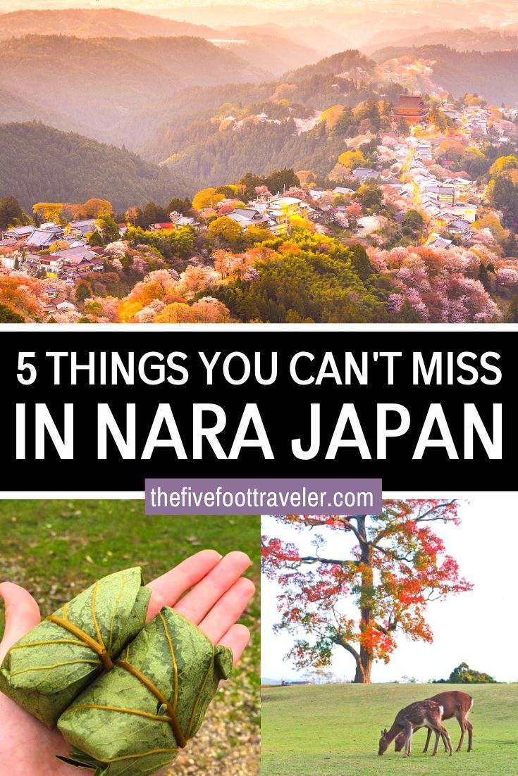 there are many things you can't miss in narra japan, including mountains and trees