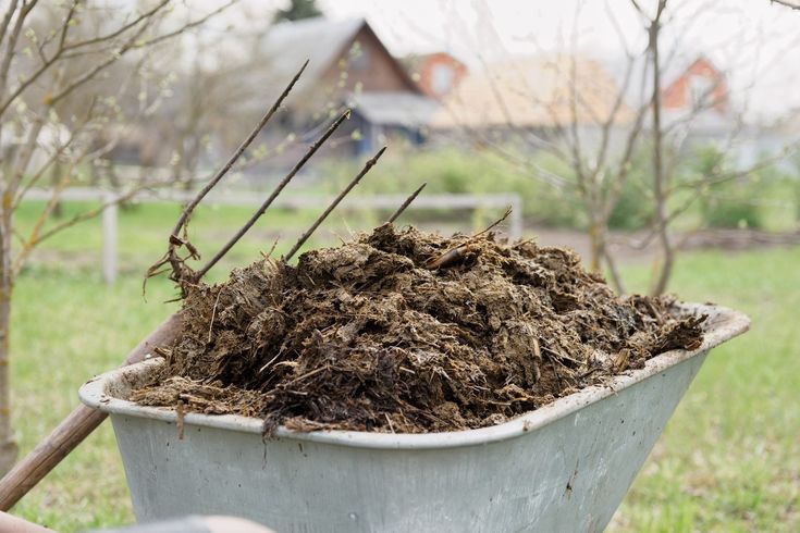 a wheelbarrow full of composted dirt in a yard