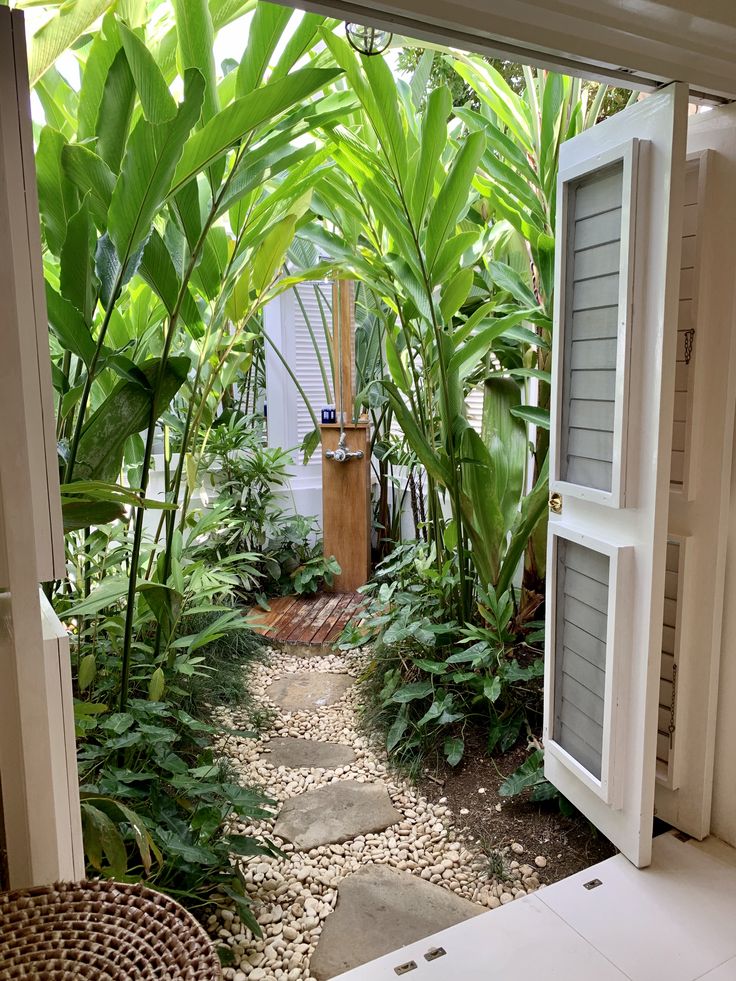 an open door leading to a garden with lots of green plants and rocks on the ground