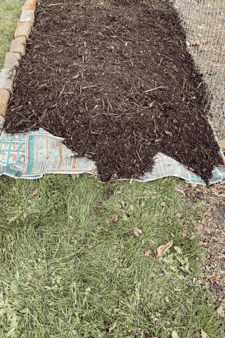 a pile of dirt sitting in the middle of a garden