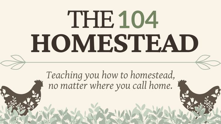 The 104 Homestead with Jessica Knowles